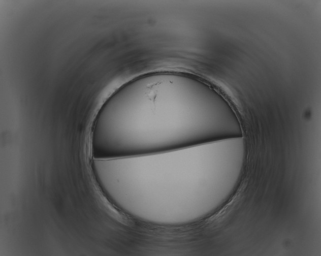 X0000094811371200711160954