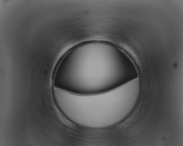 X0000094811372200711160954
