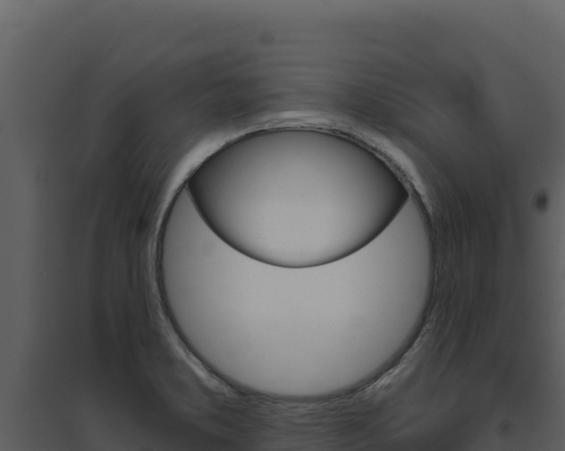 X0000094811373200711160954