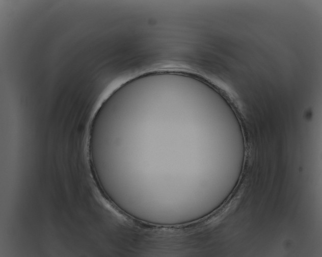 X0000094811374200711160954