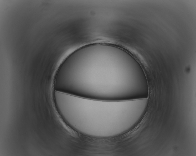 X0000094811375200711160954
