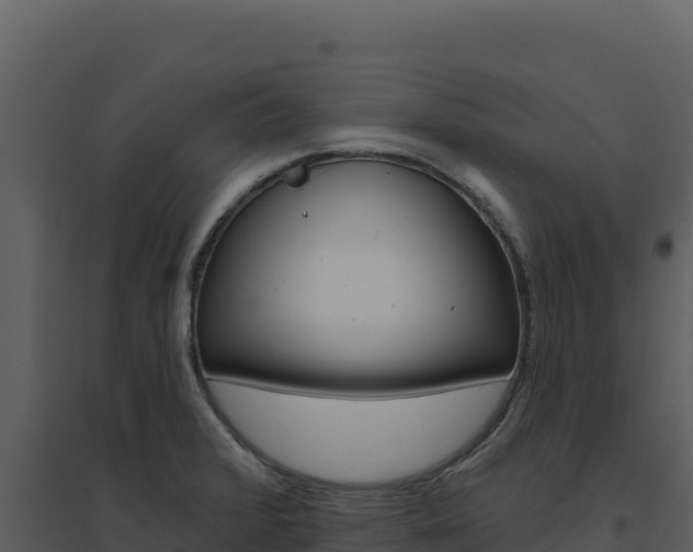 X0000094811376200711160954