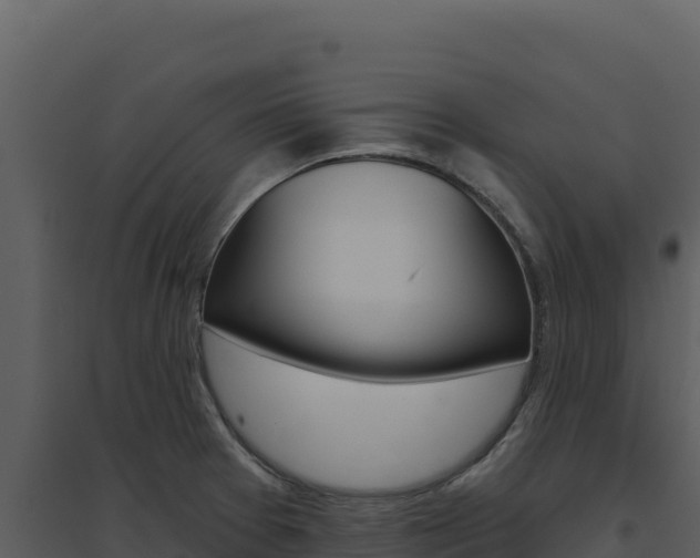 X0000094811377200711160954