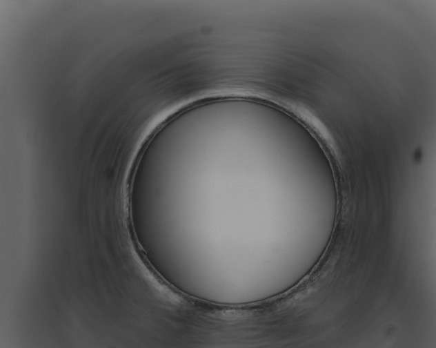 X0000094811380200711160954
