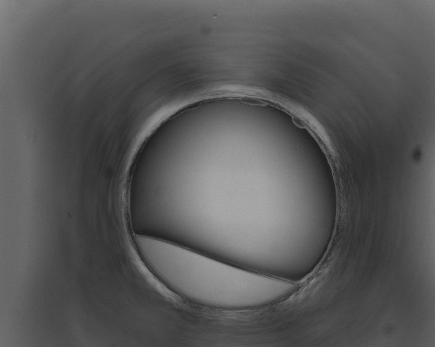X0000094811381200711160954