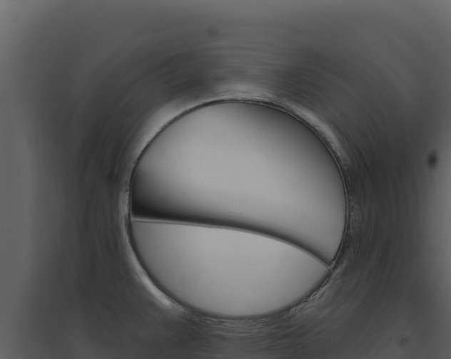 X0000094811383200711160954