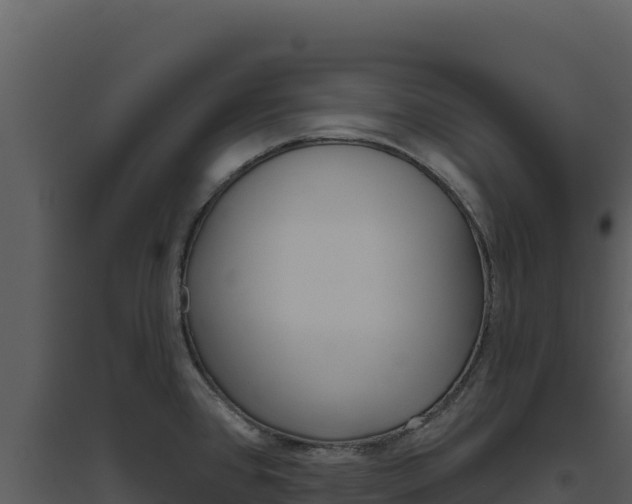 X0000094811384200711160954