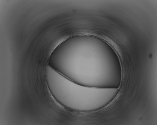 X0000094811385200711160954