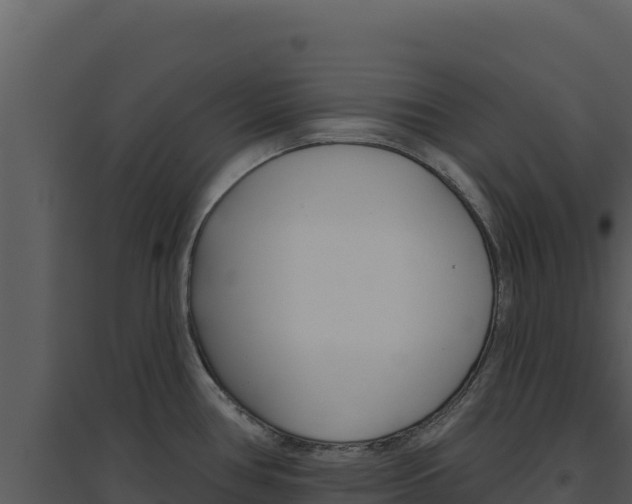 X0000094811386200711160954
