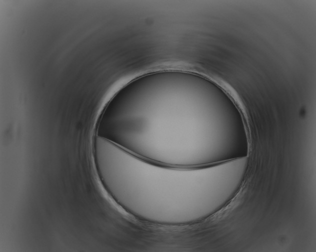 X0000094811389200711160954