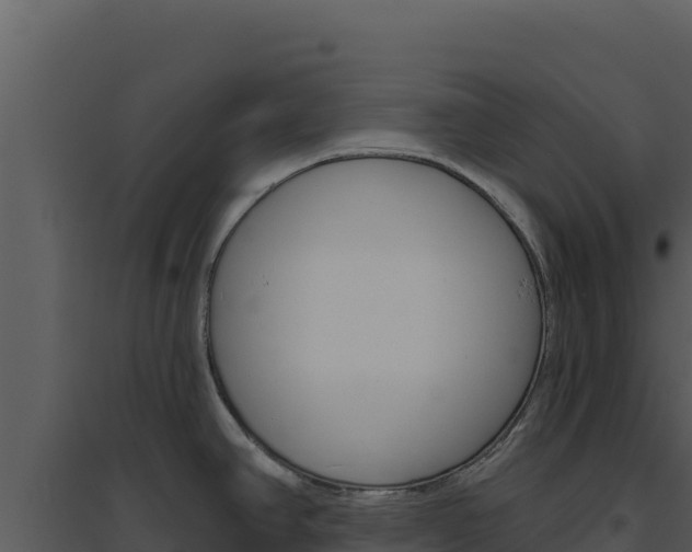 X0000094811390200711160953