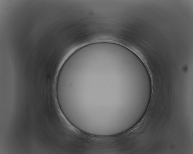 X0000094811392200711160953