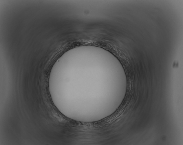 X0000094811393200711160953