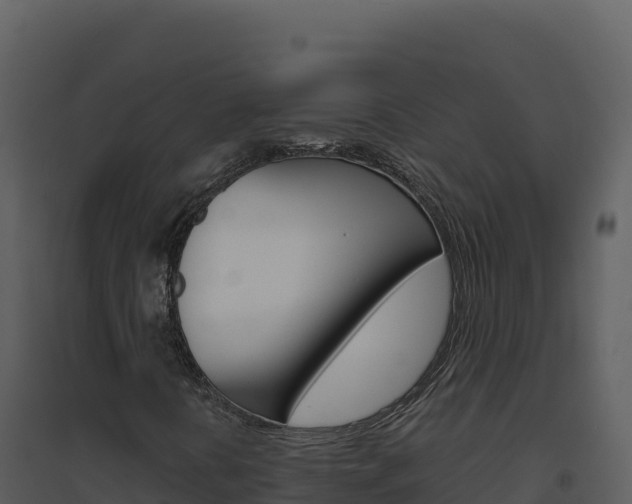 X0000094811394200711160953