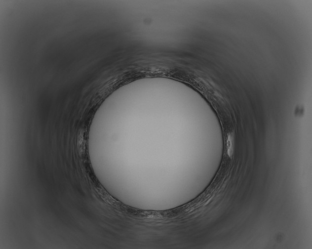X0000094811395200711160953