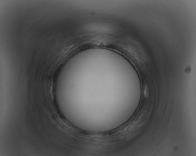 X0000094811396200711160953