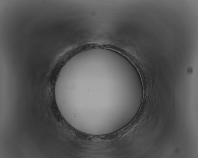 X0000094811398200711160953
