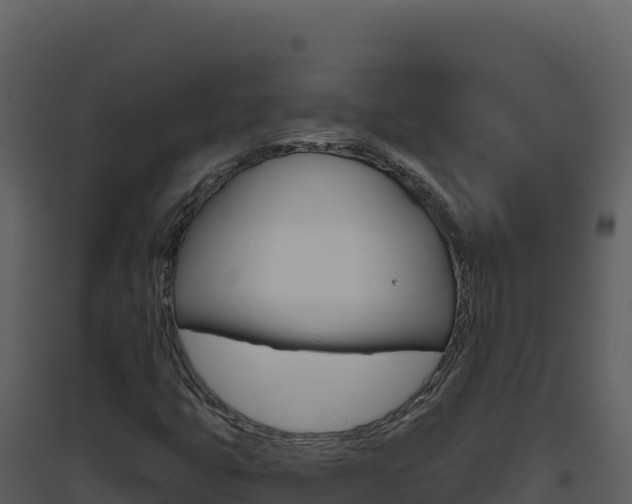 X0000094811399200711160953