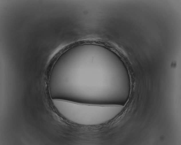 X0000094811400200711160953