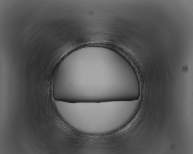 X0000094811401200711160953