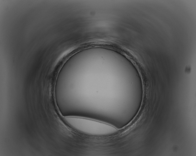 X0000094811402200711160953