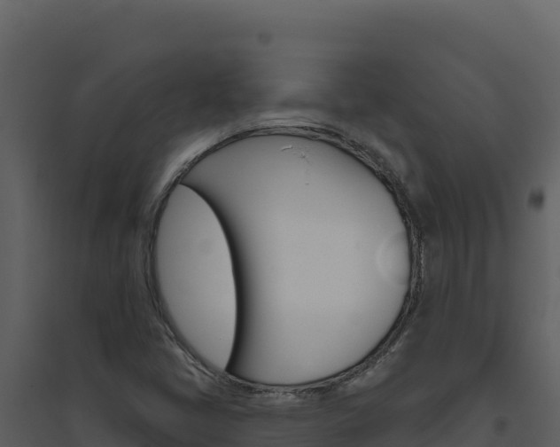 X0000094811405200711160953