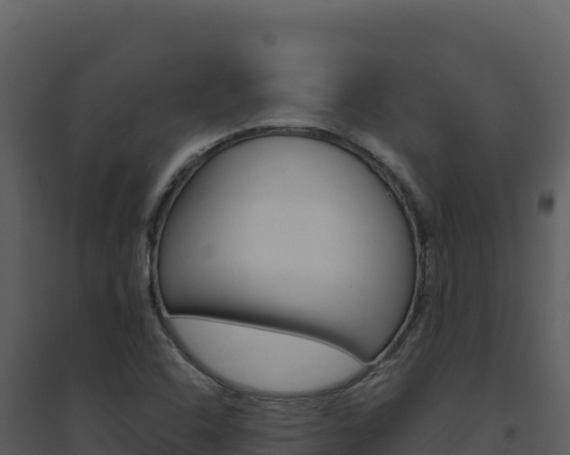 X0000094811408200711160953
