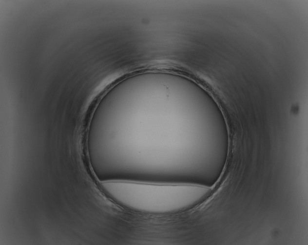 X0000094811410200711160953