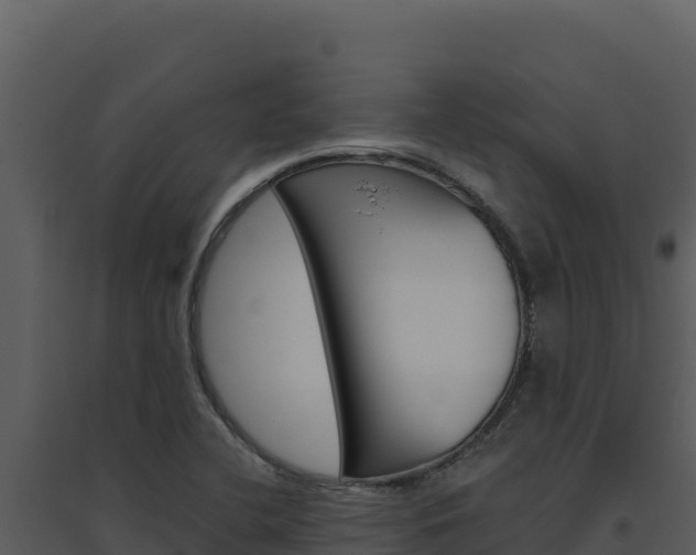 X0000094811412200711160953