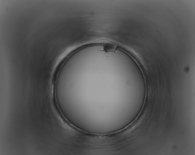 X0000094811414200711160953