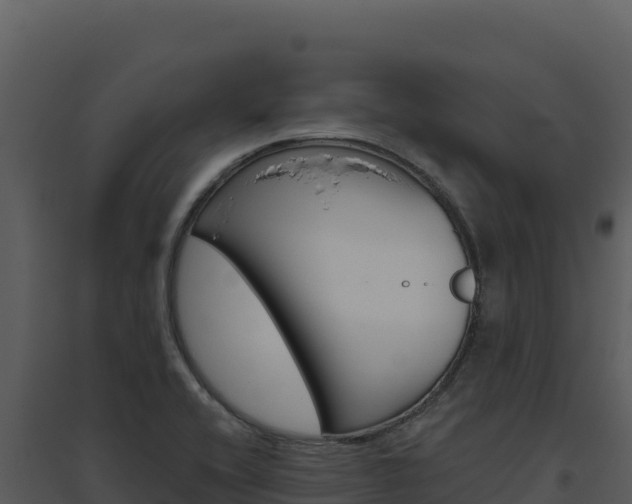 X0000094811416200711160953