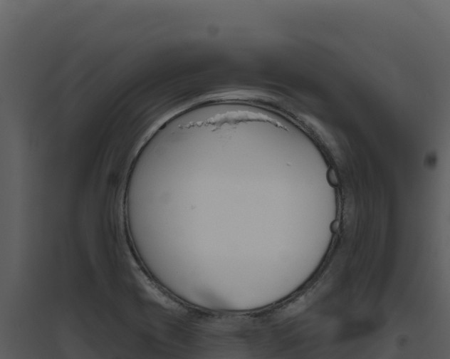 X0000094811417200711160953