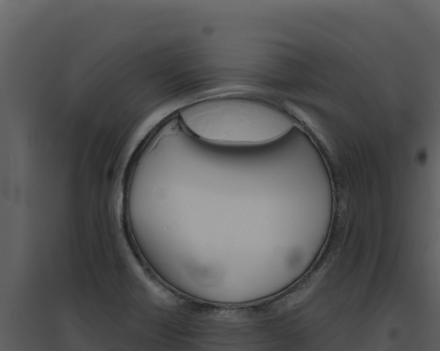 X0000094811418200711160953
