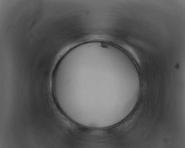 X0000094811419200711160953