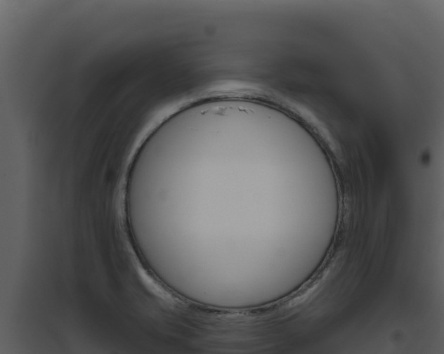 X0000094811421200711160953