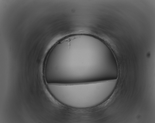 X0000094811422200711160953