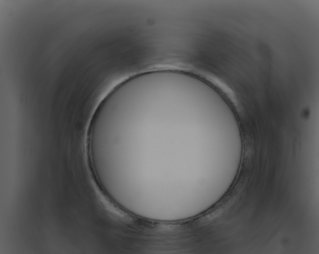 X0000094811423200711160953