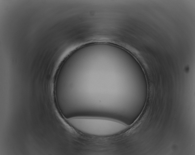 X0000094811424200711160953