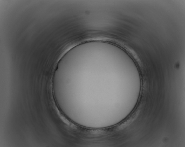 X0000094811425200711160953
