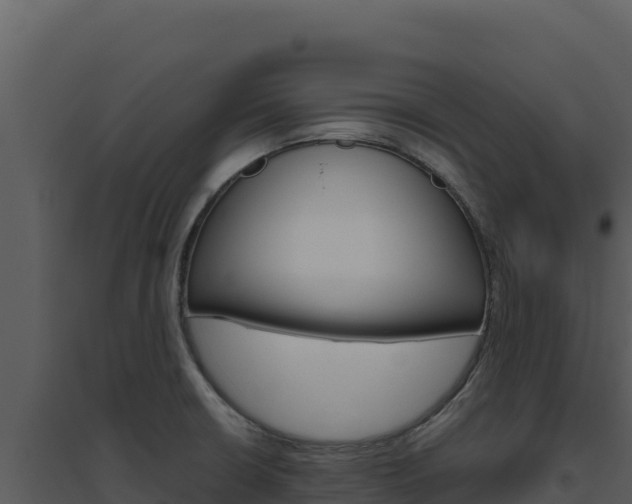 X0000094811426200711160953