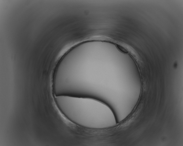 X0000094811430200711160953