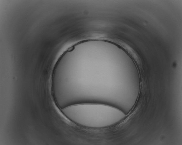 X0000094811432200711160953
