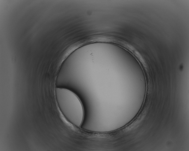 X0000094811433200711160953