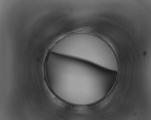 X0000094811434200711160953