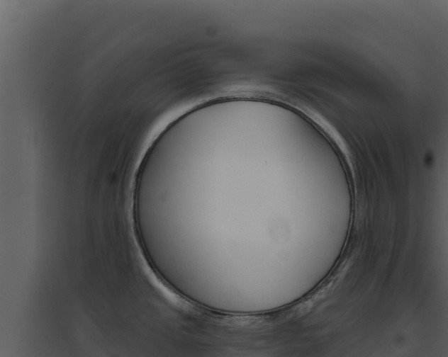 X0000094811437200711160953