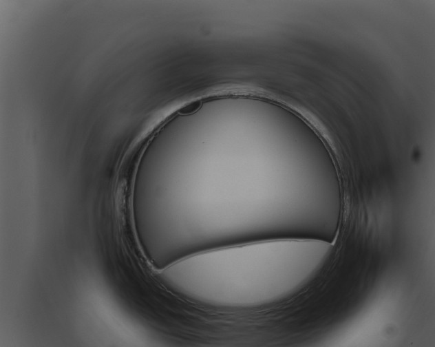 X0000094811438200711160953
