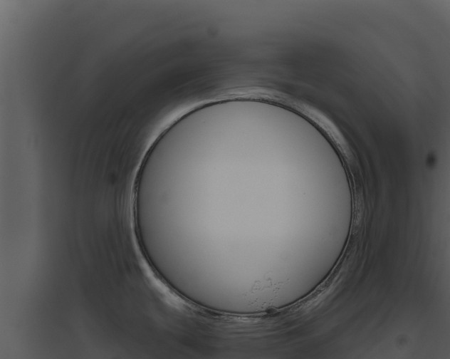 X0000094811439200711160953
