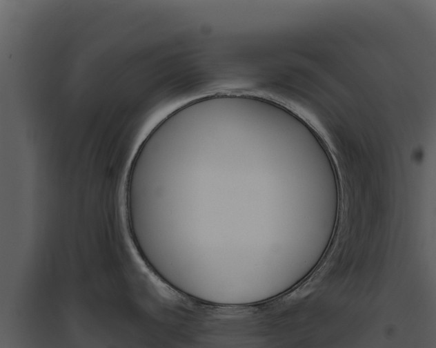 X0000094811440200711160953