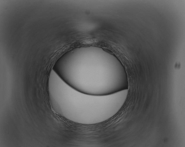 X0000094811441200711160953