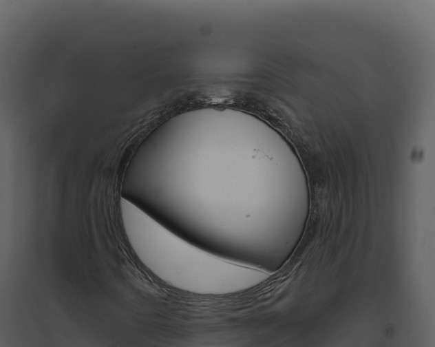 X0000094811442200711160953